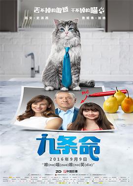 一级特黄a大片免费