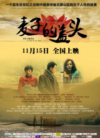 如狼似虎的大婶